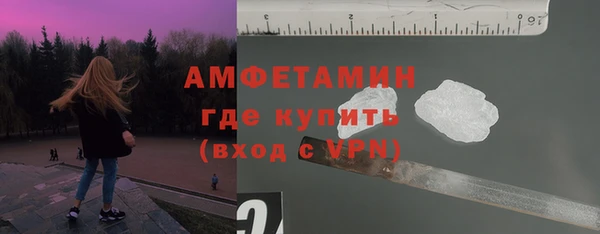 молекула духа Арсеньев